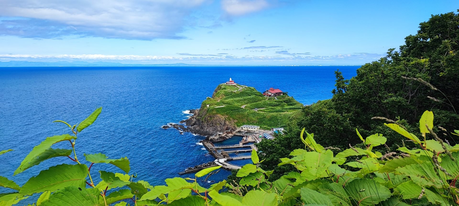 🏞️ 오다와라 스와노하라 공원 이미지 6